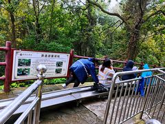 -窦圌山风景区