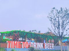 -第35届青岛国际啤酒节