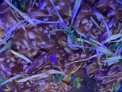 -三个大叔东北烧烤·砂锅菜(西三旗店)