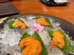 -月龍吟(朝龙汇店)