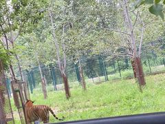 -秦皇岛野生动物园