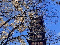 -上海方塔园