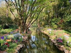 -上海共青森林公园