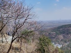 -香山公园