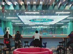 -Swim斯卫姆国际儿童游泳中心(红博中央公园店)