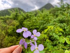 -阳台山自然风景区