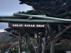 -Dooley's Premium Ice Cream