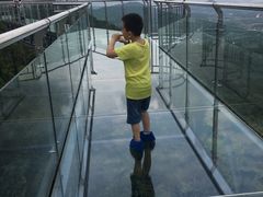 -呀诺达热带雨林