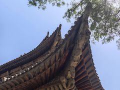 -张掖大佛寺景区