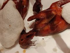 -鸽子侯·家宴·平价海鲜(市图书馆店)