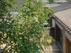 -南锣鼓巷