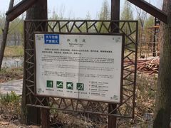 -微山湖红荷湿地景区