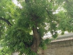 -东兴顺爆肚张