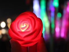 -南京奥林匹克体育中心-体育馆