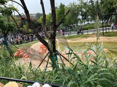 -武汉动物园