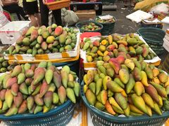 -三亚新鸿港水果一级批发市场