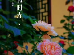 -惠山古镇·寄畅园