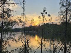 -海珠湖公园