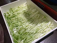 -鲤·鮨KOISUSHI