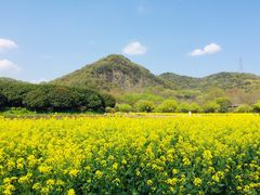 -八卦田遗址公园