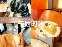 -咖法森林·咖啡  酒吧(天河店)