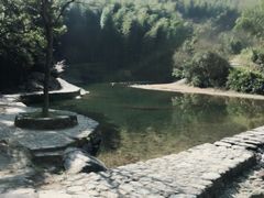 -宁波浙东大竹海景区