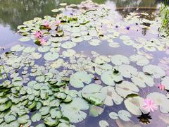 -郭庄茶室