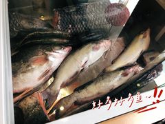 -老刘生态大鱼坊铁锅炖鱼(赛马场店)