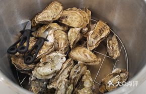 Premium Fresh Oyster Special