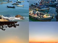 -林海公园