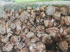 -和源祥·日照菜扛把子(万平口一店)