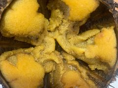 -海胆小馆(东北水饺·春柳店)