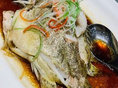 -沪碟·精菜坊(闵行店)