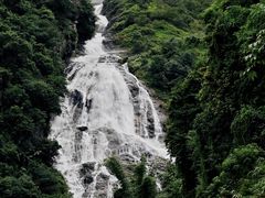 -汤锅大王(新平曹苏黄牛汤锅有限公司)