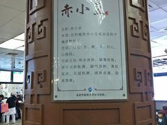 -北京中医药大学东方医院(方庄院区)