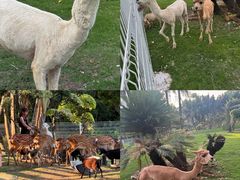 -东南花都花博园