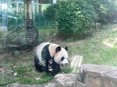 -大连森林动物园