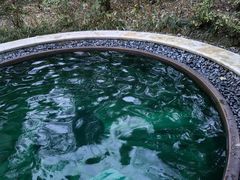 -苏州湾·王焰温泉