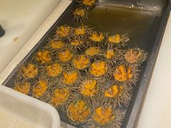 -Mr·Fish鱼鲜生海鲜放题(银泰in99店)