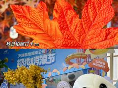 -海合安天津极地海洋公园