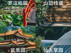 -深圳仙湖植物园