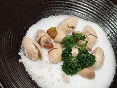 盐烤银杏果-和创柚子·会席日本料理(新区淮海街店)