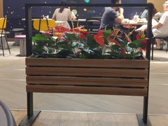 -麦当劳(皇岗路店)