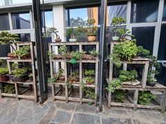 -陈家山荷花公园
