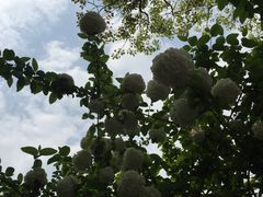 -庐山天沐温泉度假村