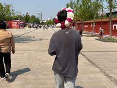 -曹州牡丹园