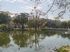 -惠州西湖丰渚园