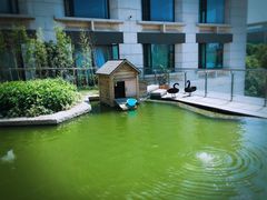 -行者书屋大堂吧 ·下午茶(南京圣和府邸酒店)