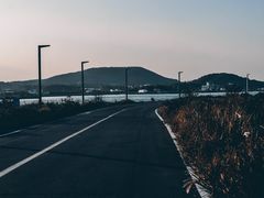-涉地可支