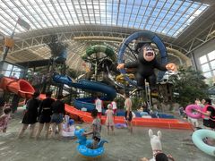 -杭州开元森泊度假乐园